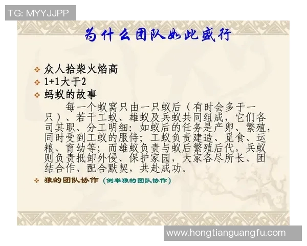 三口队与甲府队的激烈对决展现足球魅力与团队精神的完美结合